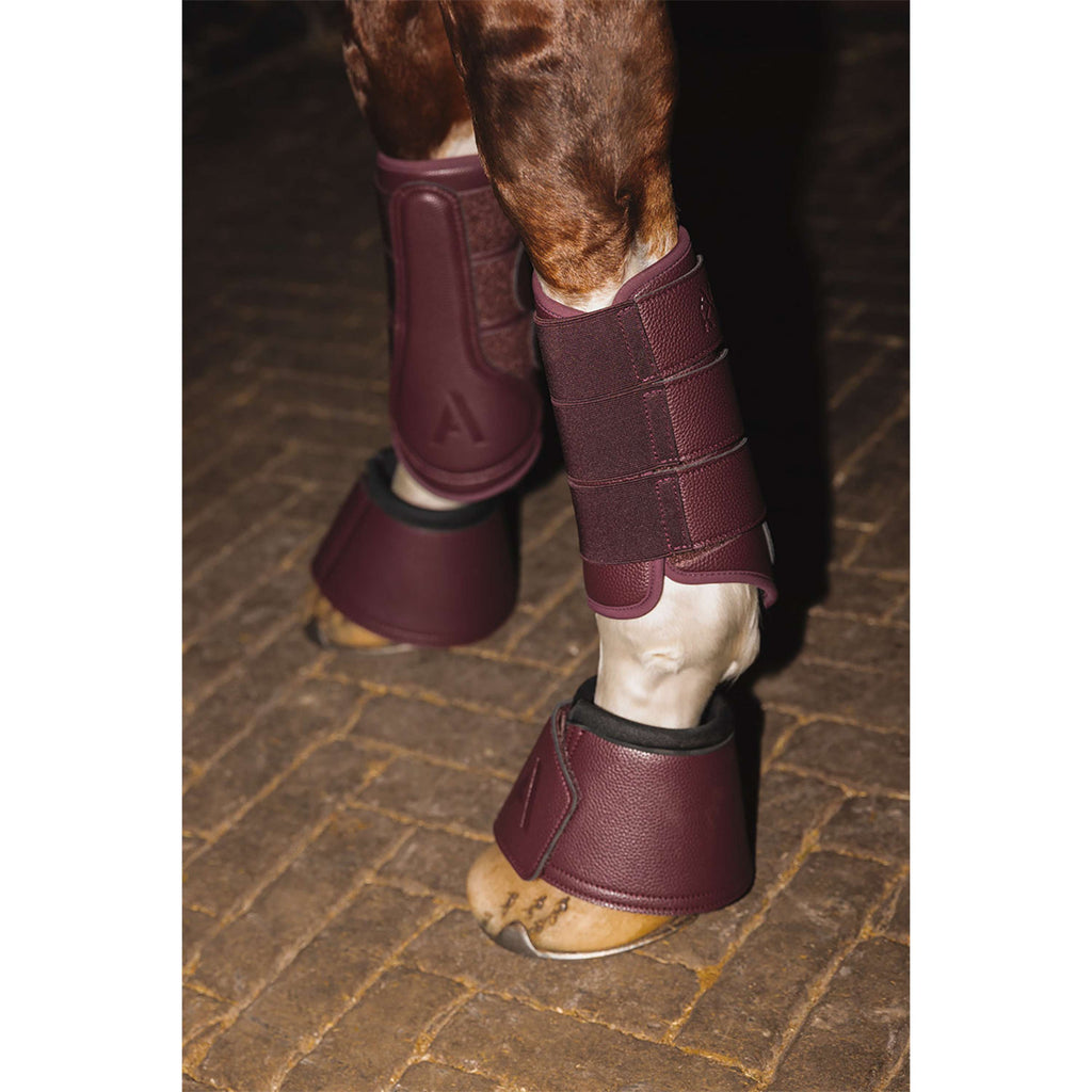 ANKY Stivali da dressage ATB25005 3C Sassafras