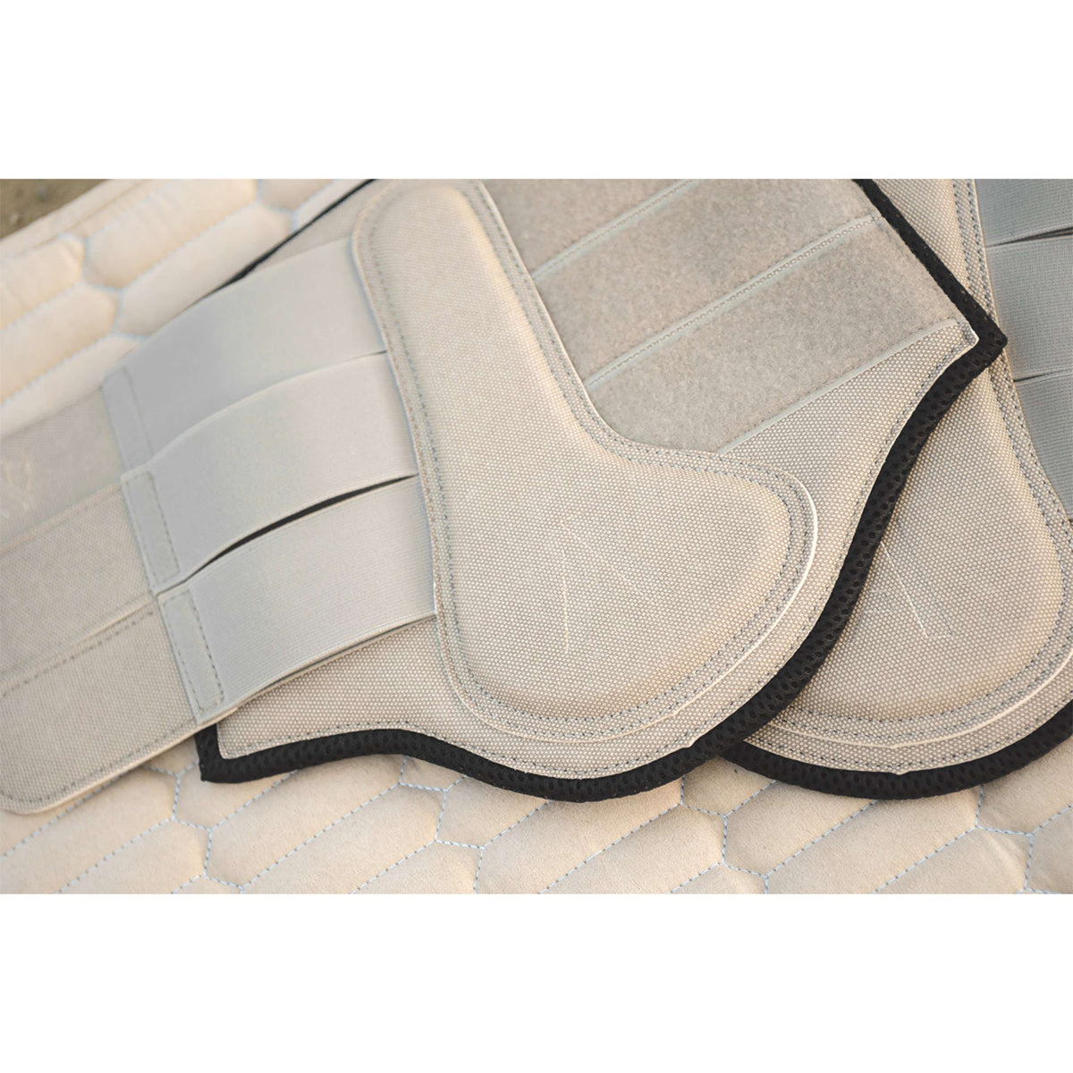 ANKY Stivali da dressage Proficient ATB261001 Island Fossil