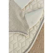 ANKY Cuffietta ATB261004 Island Fossil