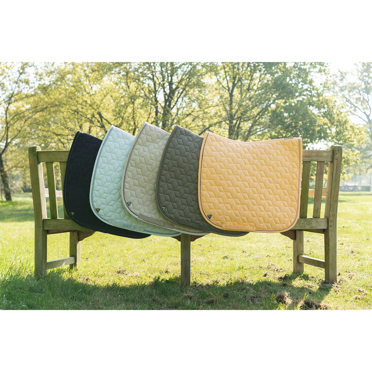 ANKY Sottosella Vivacity XB261111 Dressage Bungee Cord