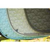 ANKY Sottosella Vivacity XB261111 Dressage Bungee Cord