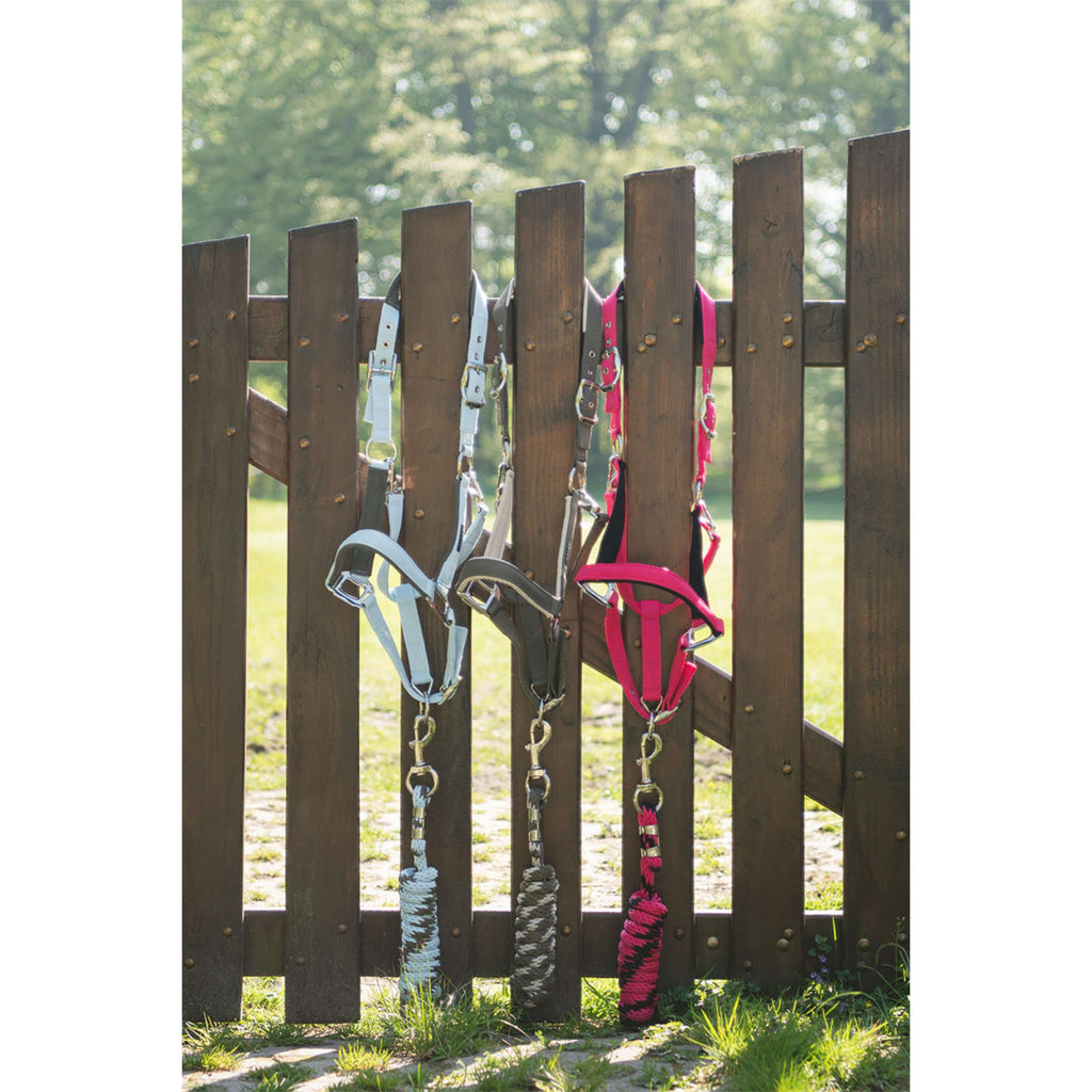 ANKY Set Cavezza ATH261001 Bungee Cord