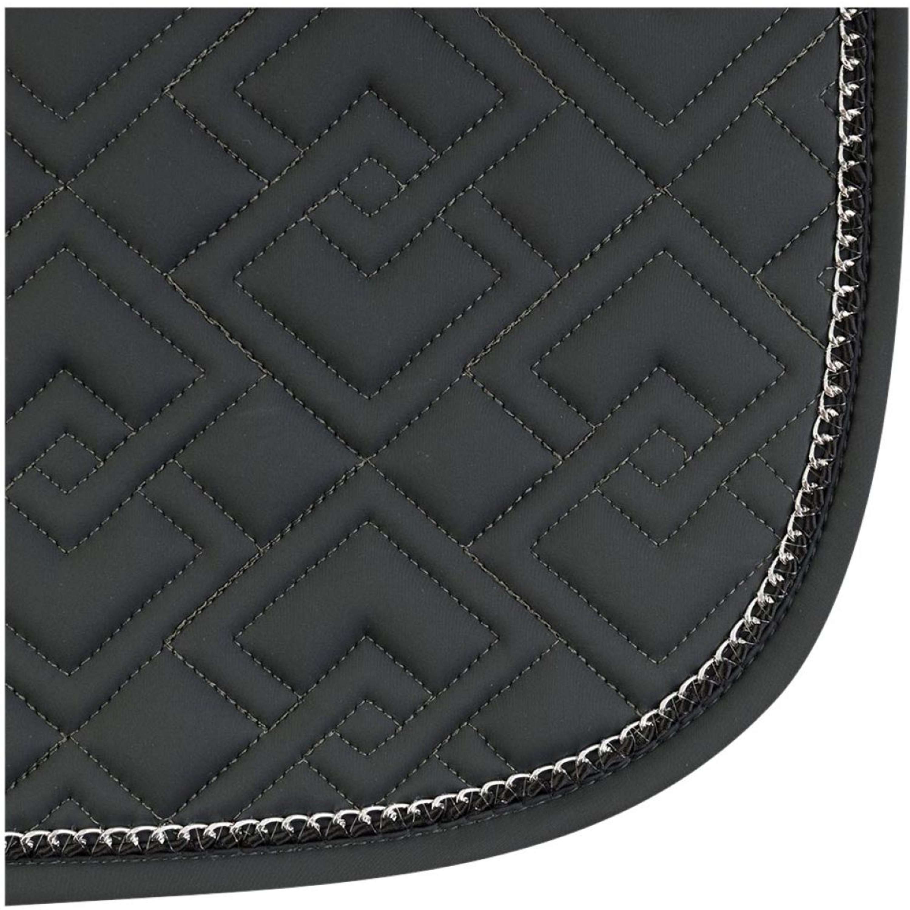 ANKY Sottosella Amity XB262110 Dressage Forest River