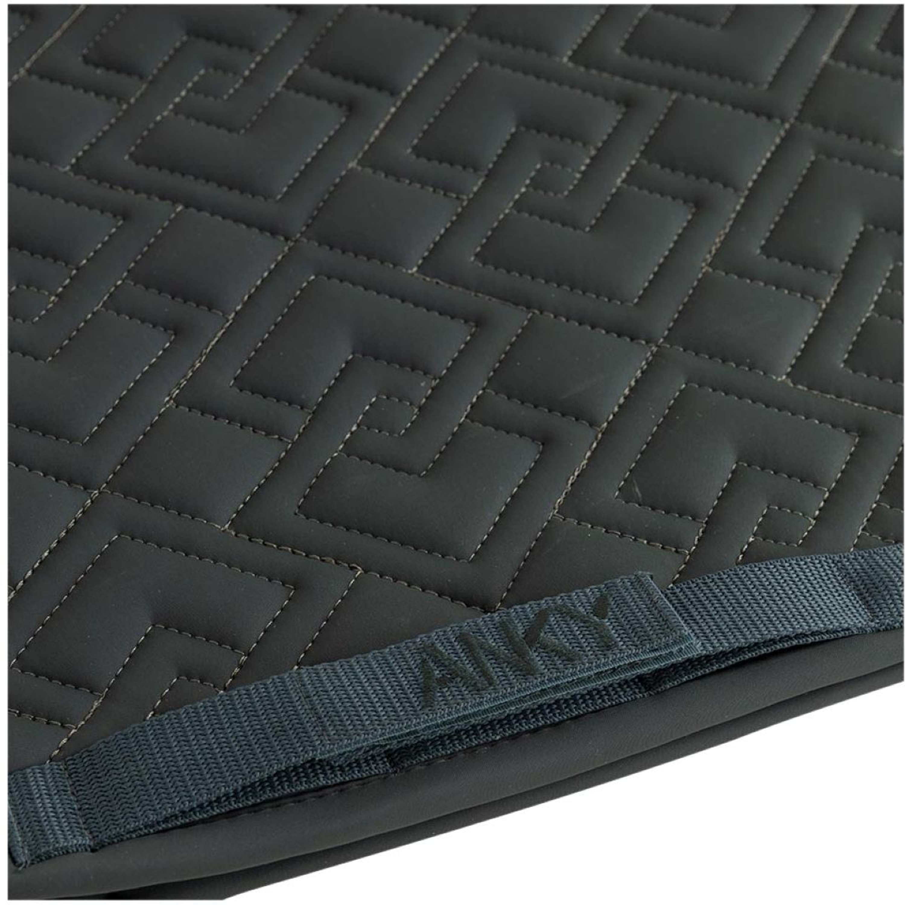 ANKY Sottosella Amity XB262110 Dressage Forest River