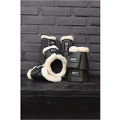 ANKY Paraglomi posteriori