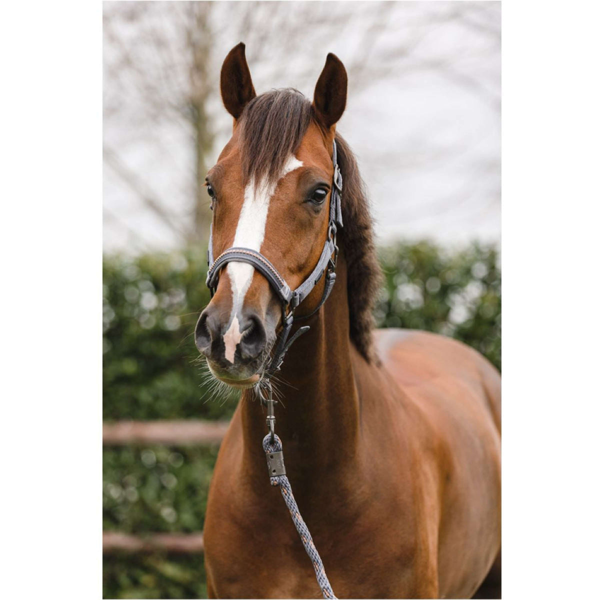 ANKY Set Cavezza Stones Steel Grey