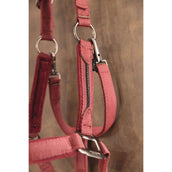 ANKY Set Cavezza AW25 Windsor Wine