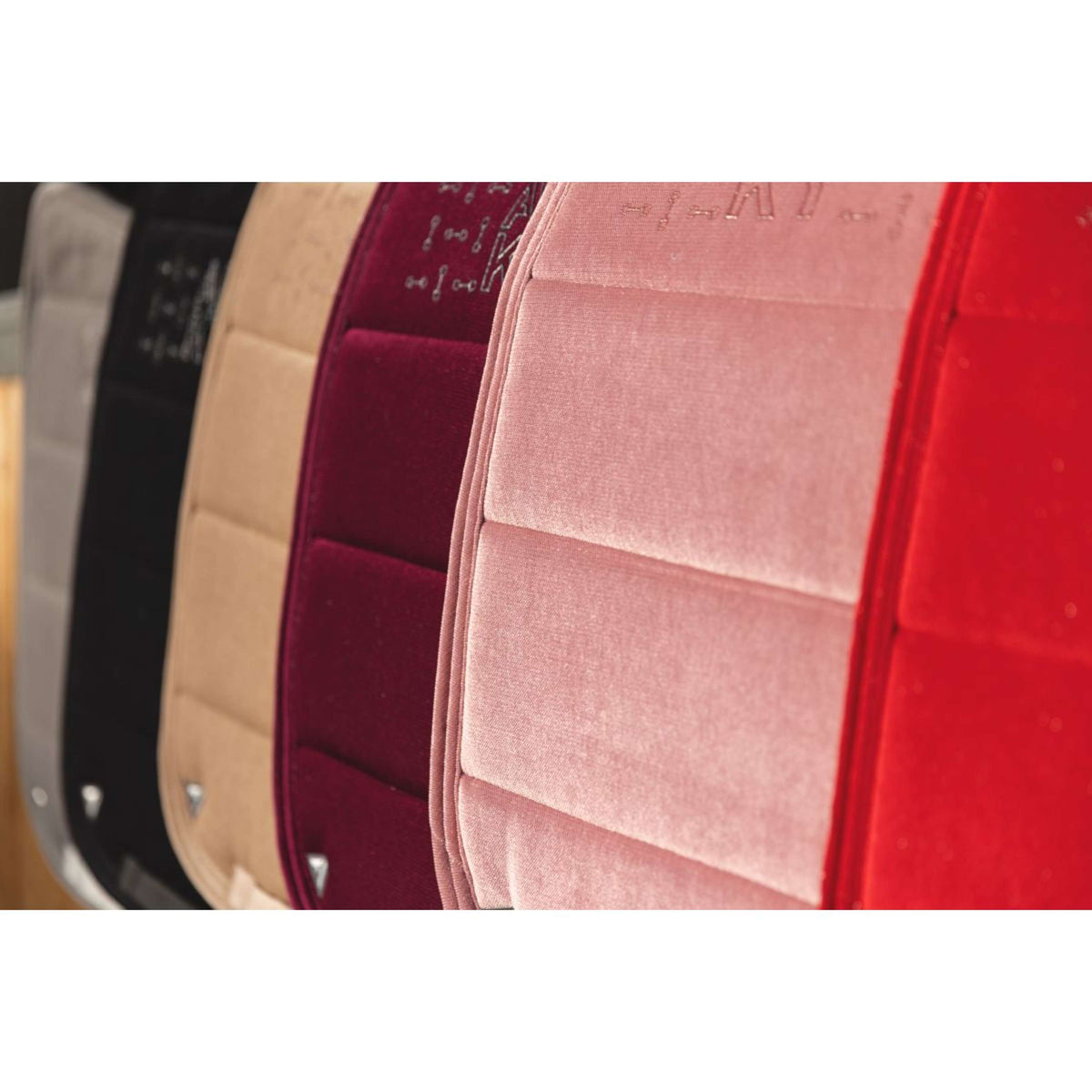 ANKY Sottosella AW25 Velvet Dressage Amphora