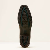 Ariat Stivali Western Hybrid Roughstock Antler Uomini Wild Taupe/Espresso