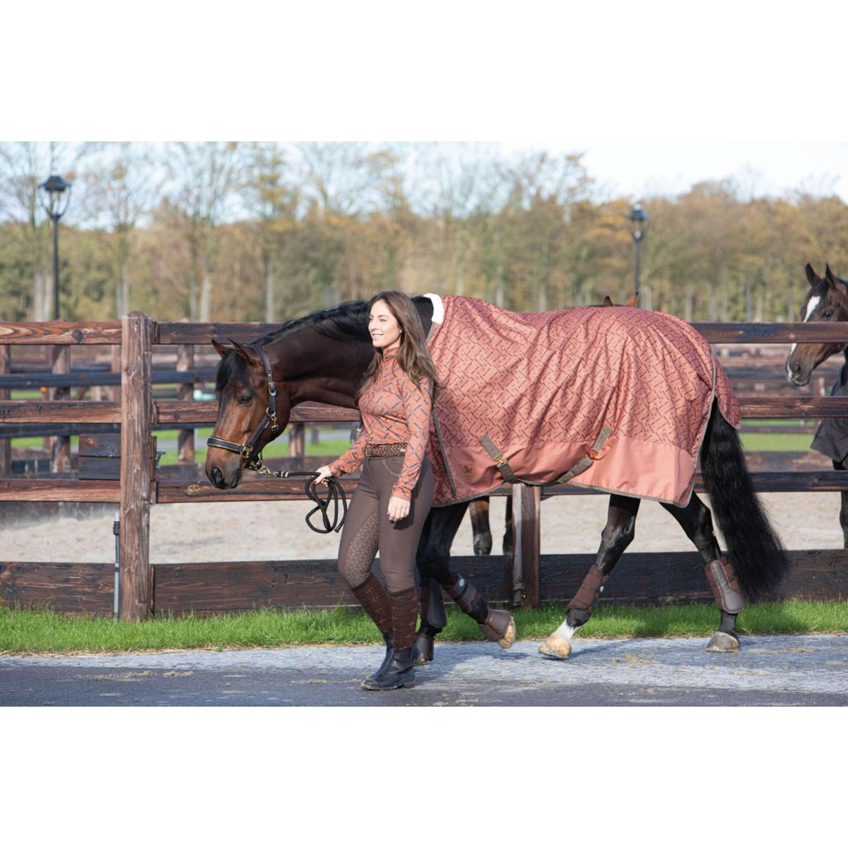 Harry's Horse Calzoni Ladis Full Grip Caraffa