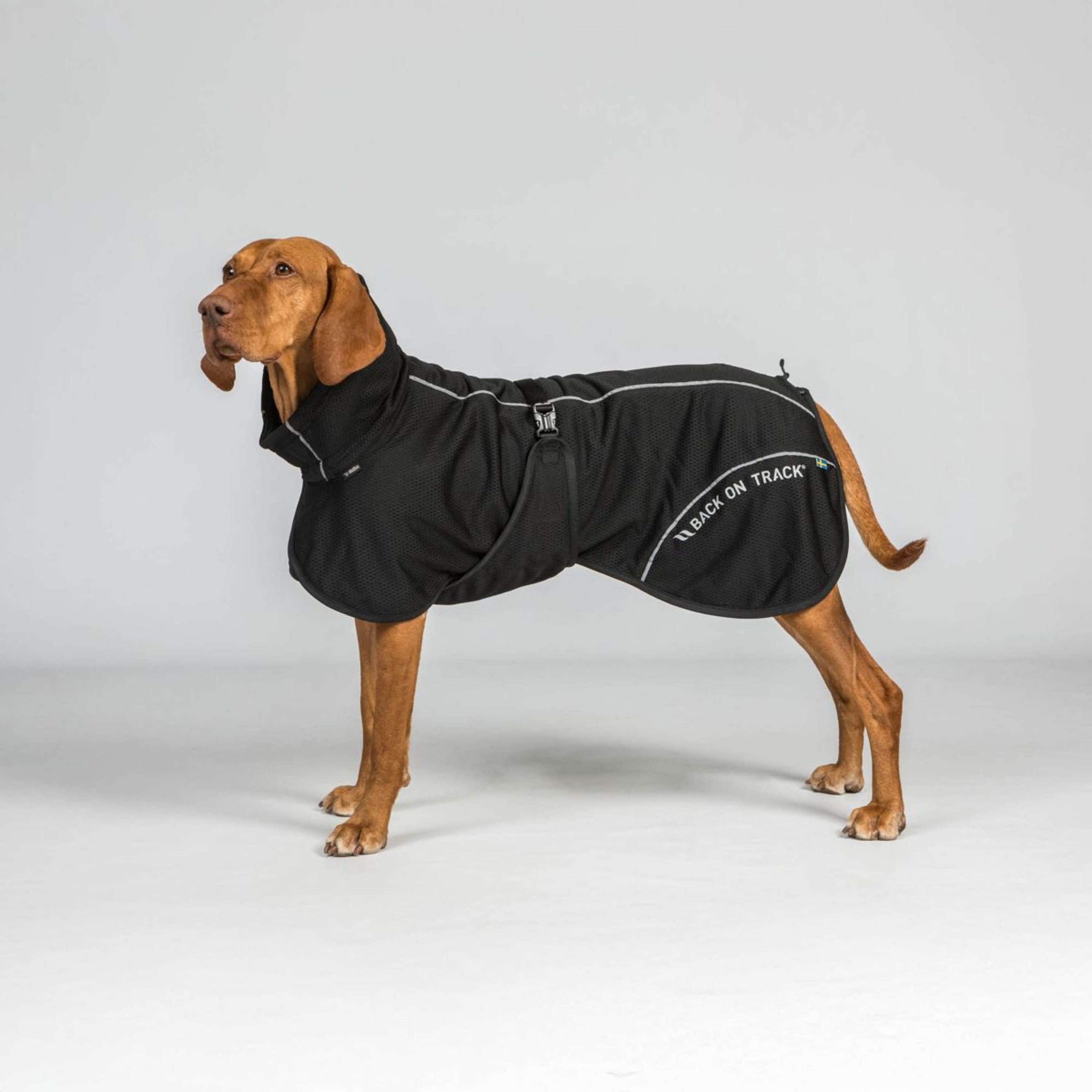 Back on Track Cappotto per Cane BAY Mesh Nero Back on Track Cappotto per Cane BAY Mesh Nero
