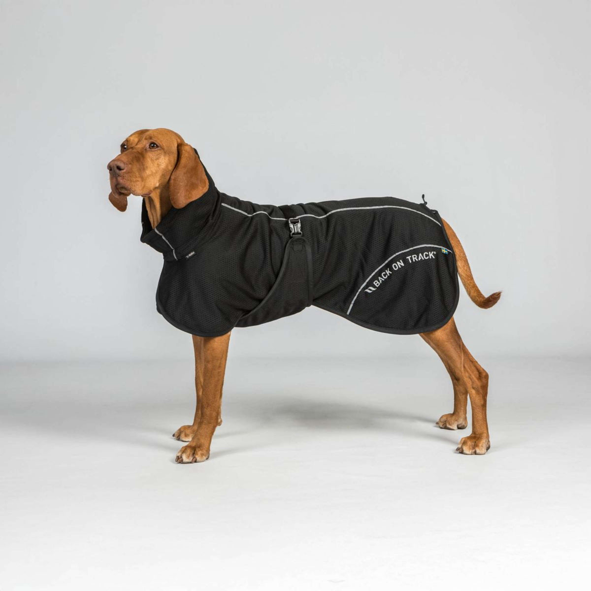 Back on Track Cappotto per Cane BAY Mesh Nero