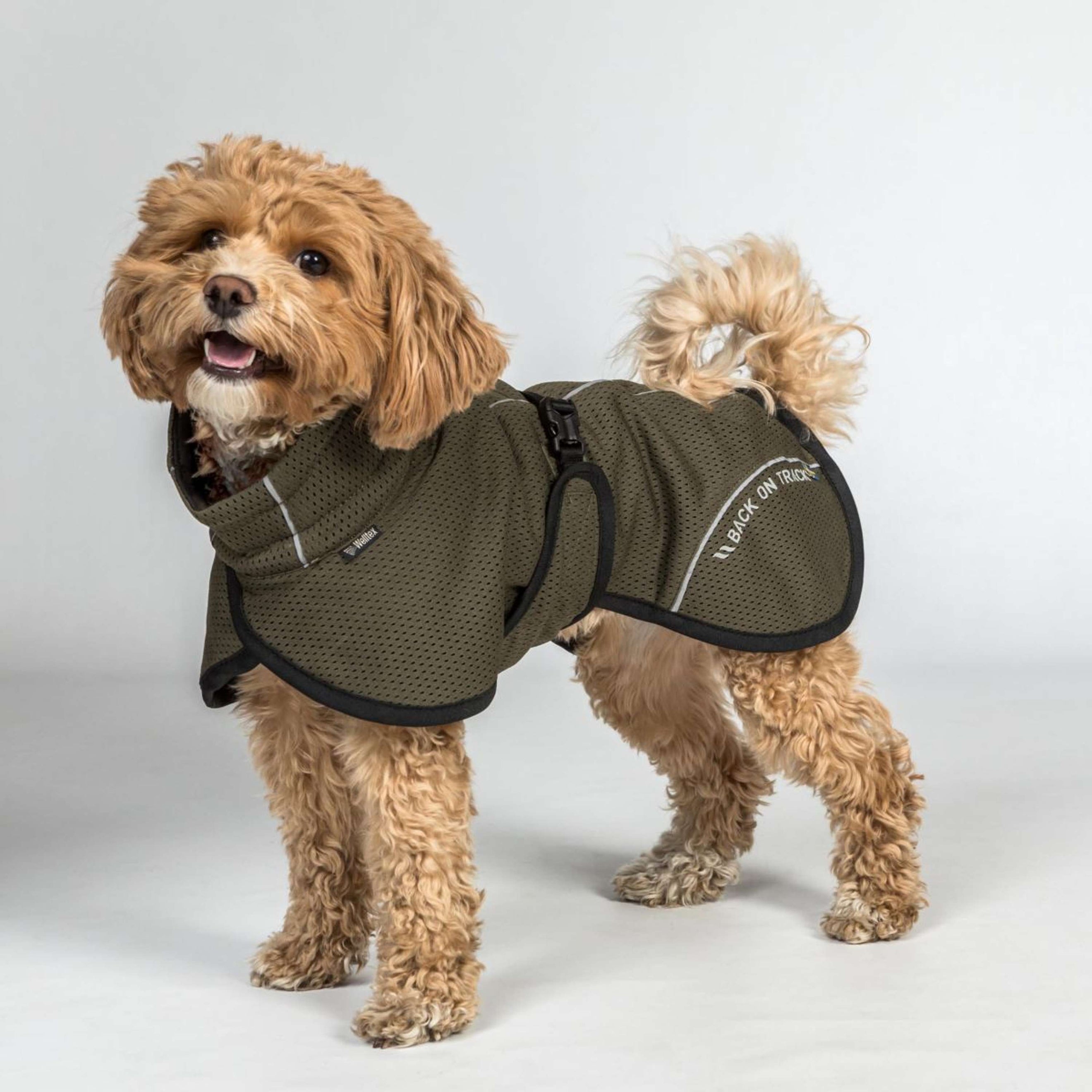 Back on Track Cappotto per Cane BAY Mesh Oliva Back on Track Cappotto per Cane BAY Mesh Oliva