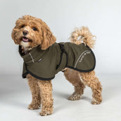 Back on Track Cappotto per Cane BAY Mesh Oliva