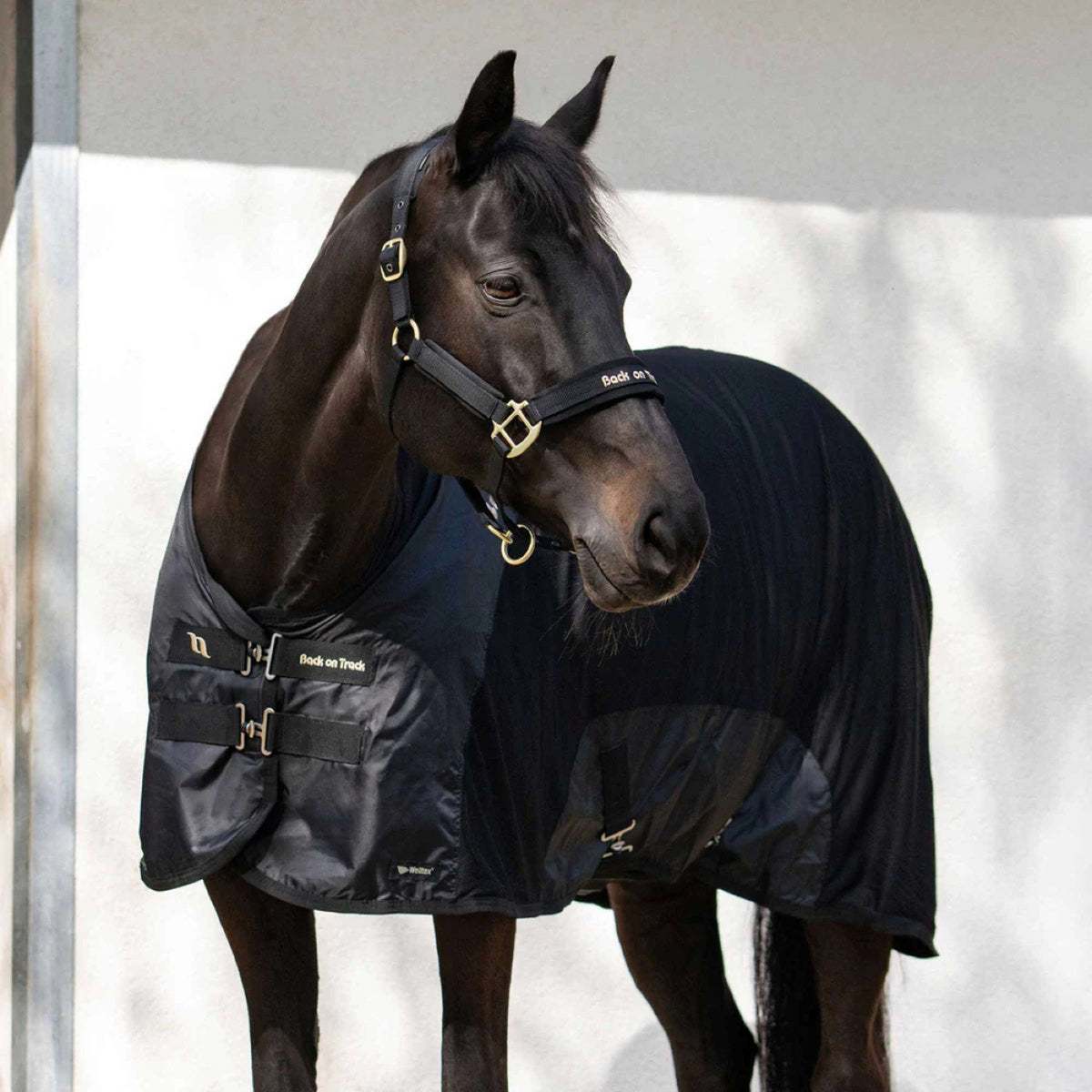 Back on Track Coperta a Rete Royal Nero