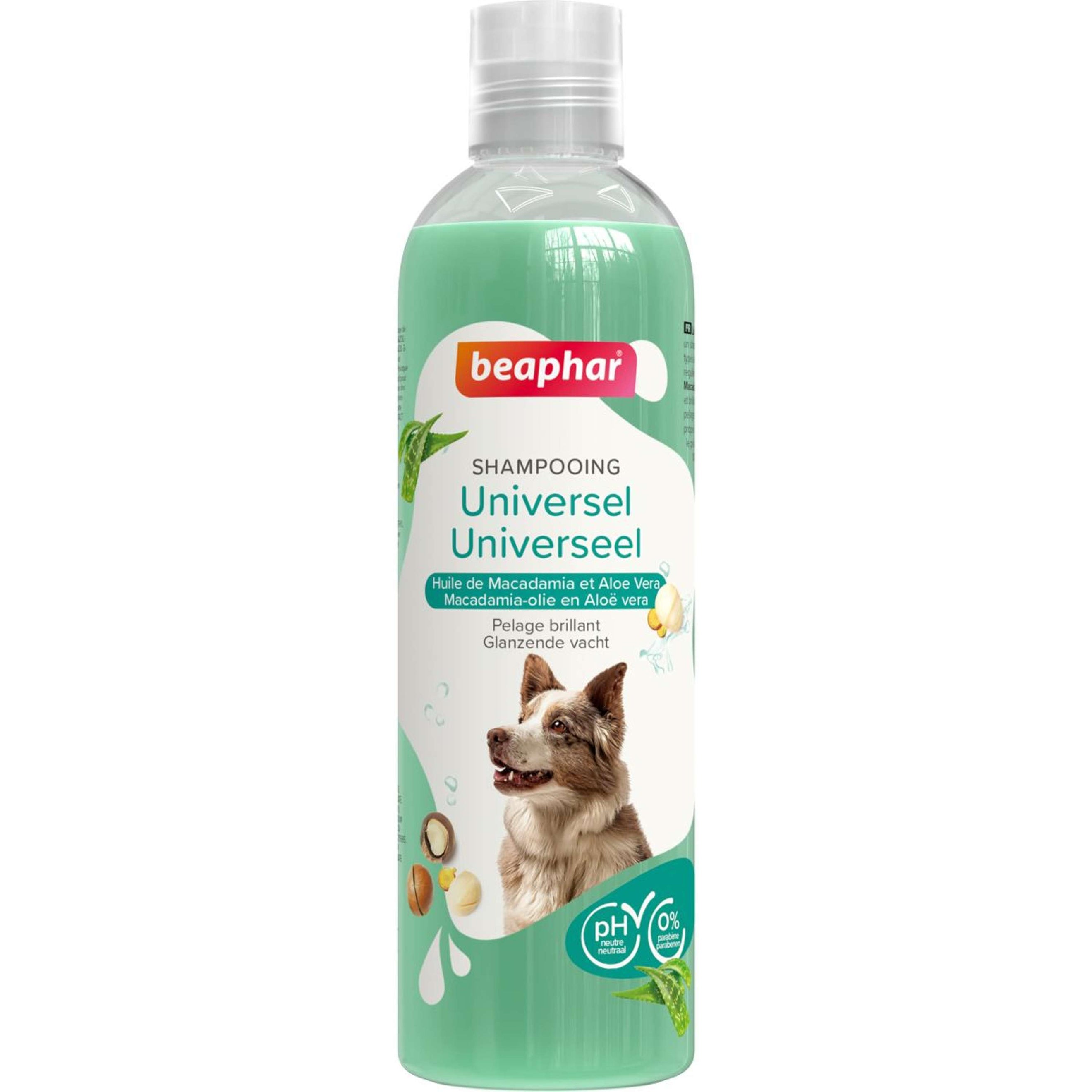 Beaphar Shampoo Cane Universale Beaphar Shampoo Cane Universale