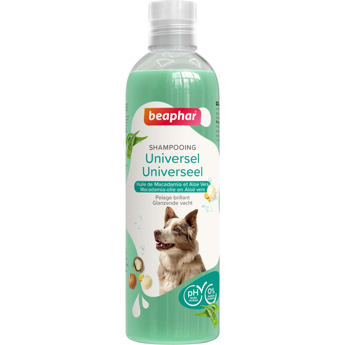 Beaphar Shampoo Cane Universale