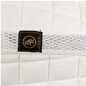 BR Sottosella Liverpool Dressage Bianco