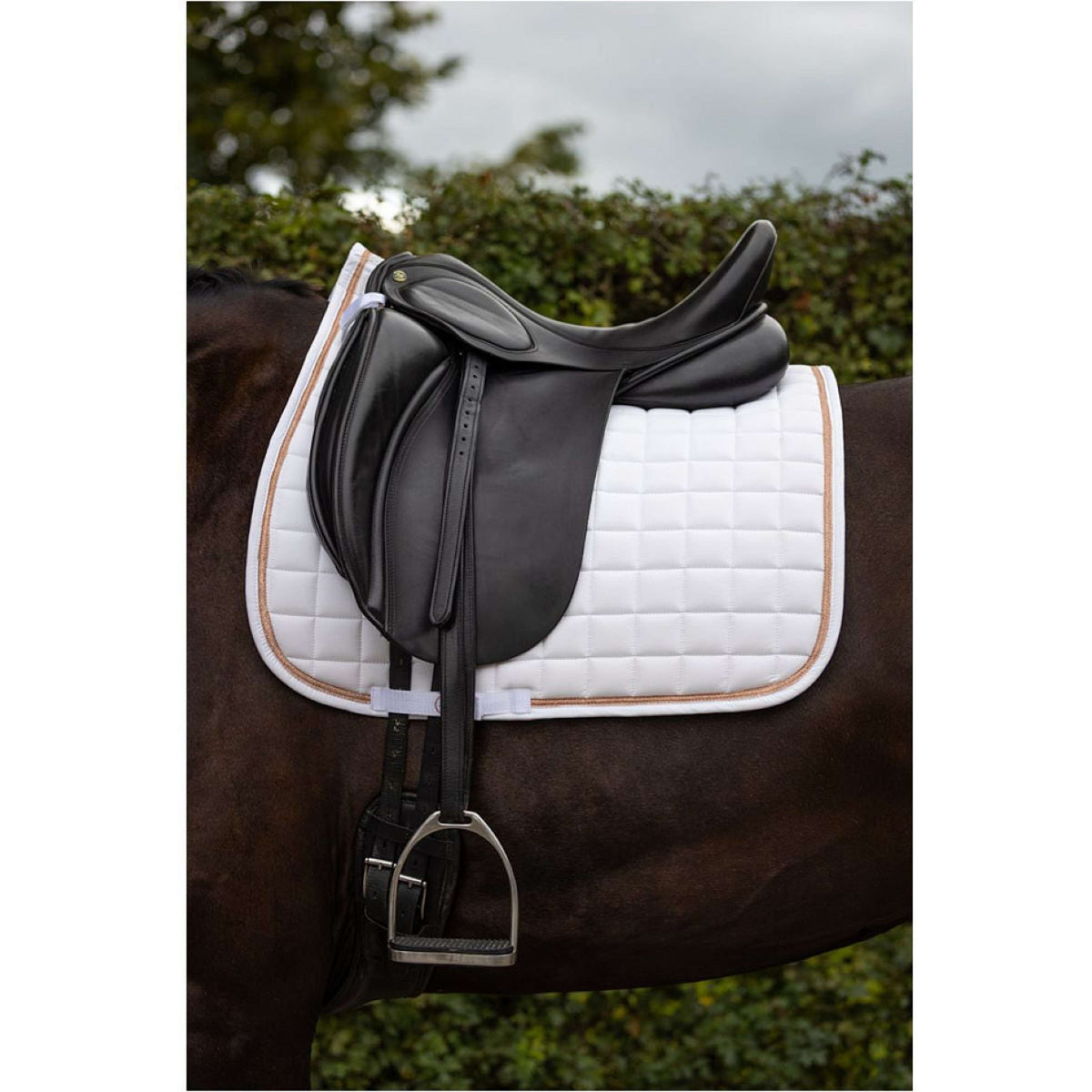 BR Sottosella Liverpool Dressage Bianco