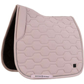 BR Sottosella AW25 Jay Dressage Nirvana