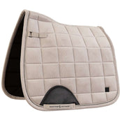 BR Sottosella AW25 June Dressage Moon Rock