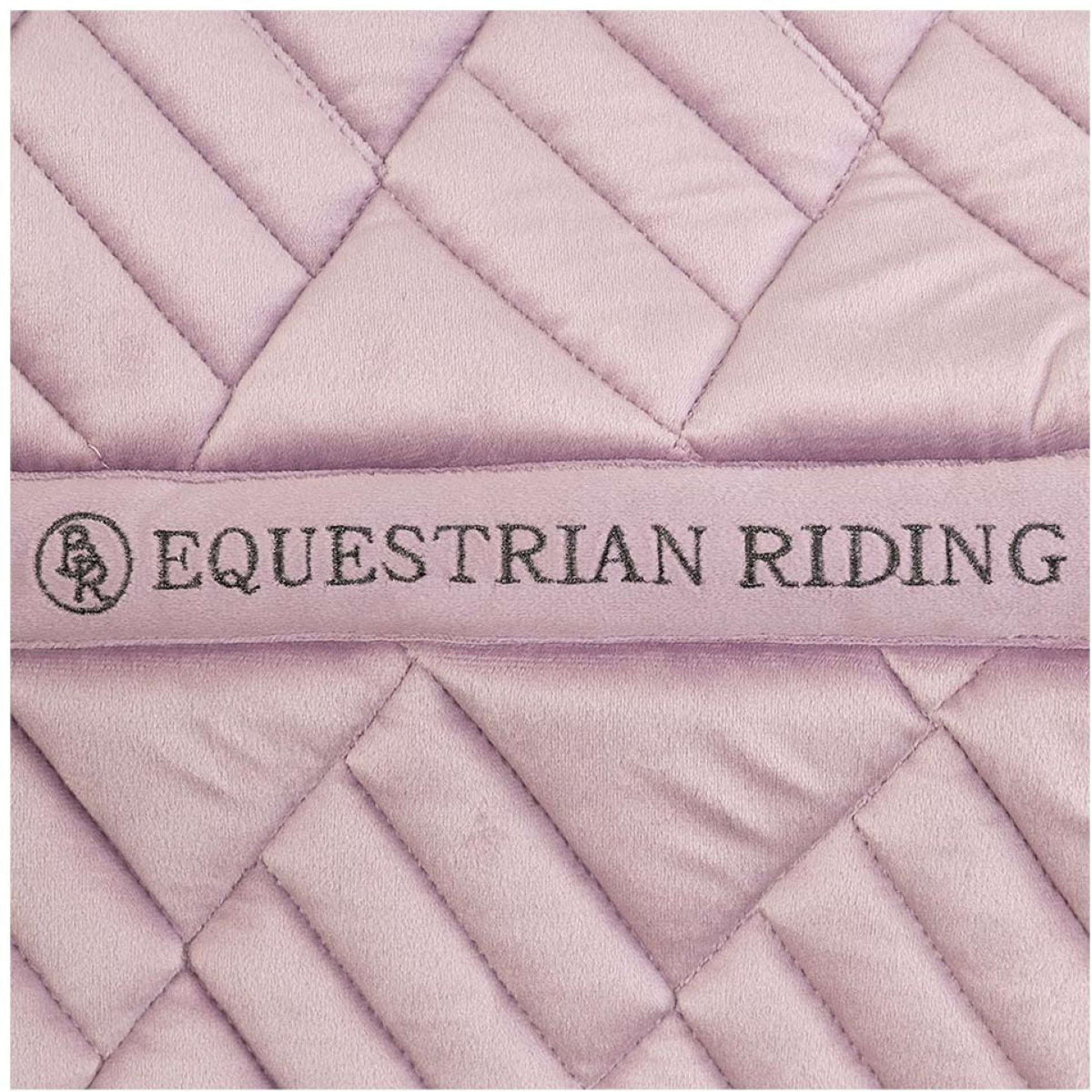 BR Sottosella AW25 Jacky Dressage Nirvana