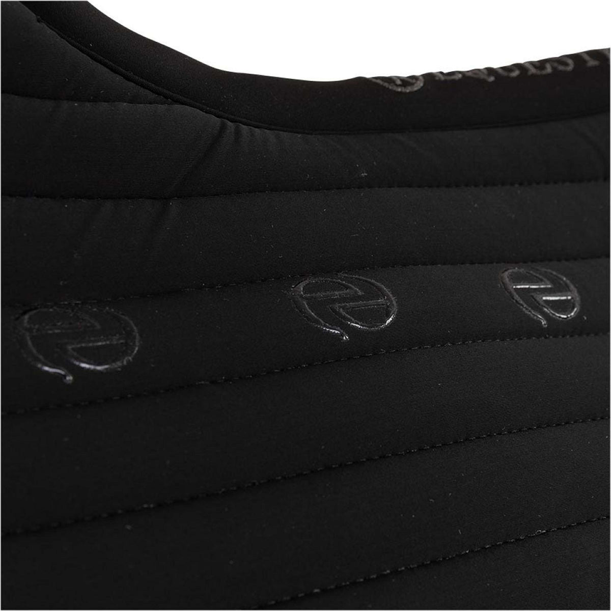 BR Sottosella AW25 Eevolv Jens Dressage Meteorite