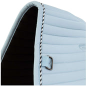 BR Sottosella AW25 Eevolv Jens Dressage Ashley Blue