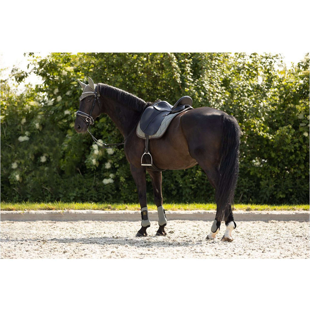BR Stinchiere Event Neopreen Voering Mulled Basil