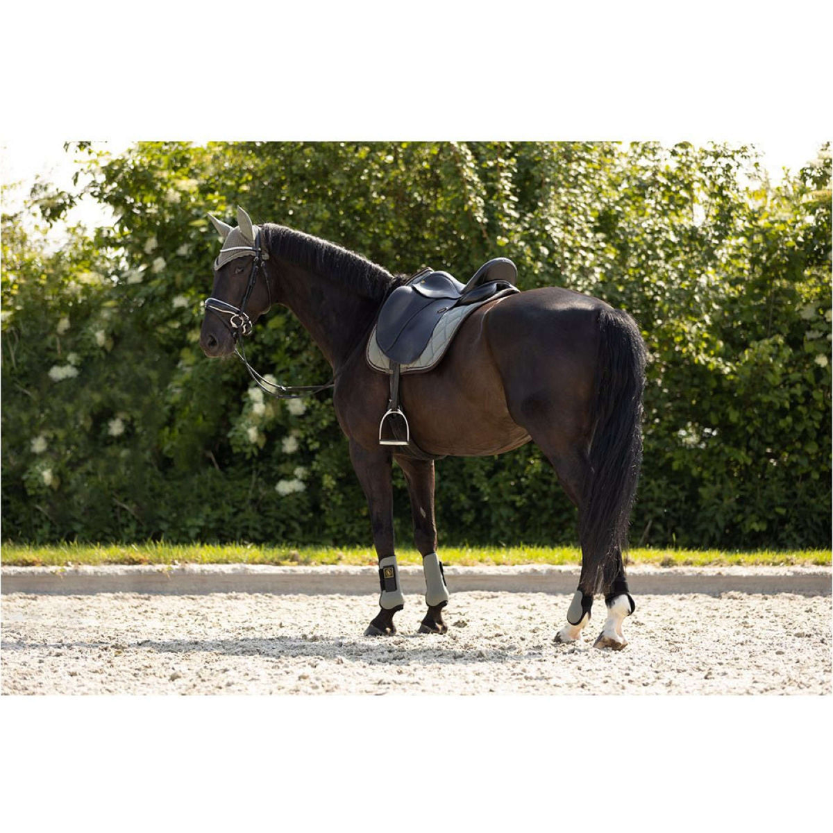 BR Stinchiere Event Neopreen Voering Mulled Basil