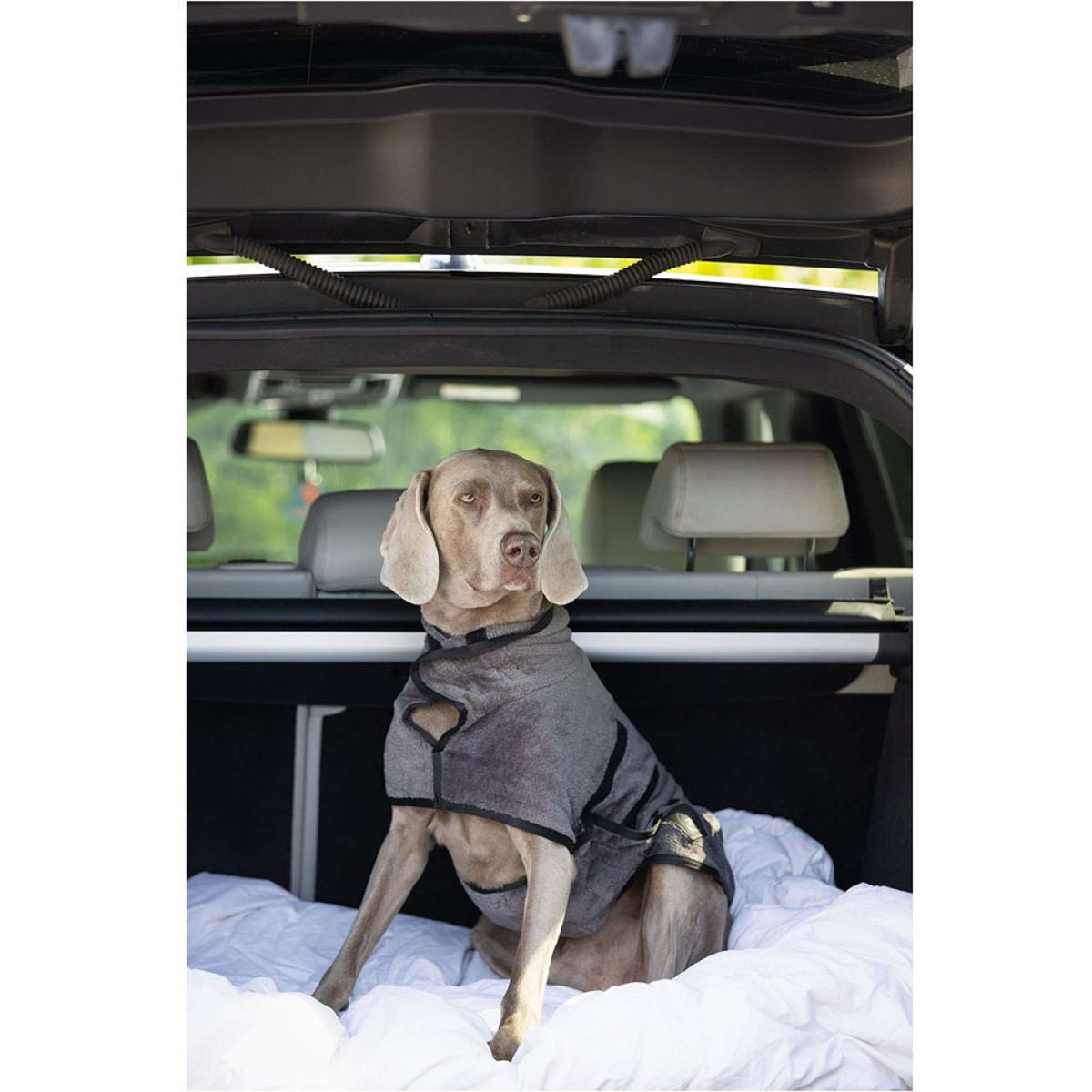 BR Accappatoio per Cani Grey Asphalt