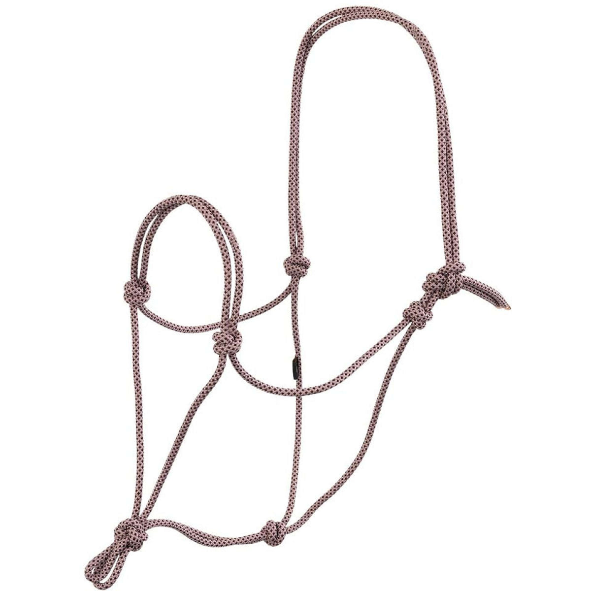 BR Capestro in Corda AW25 Judith Nirvana