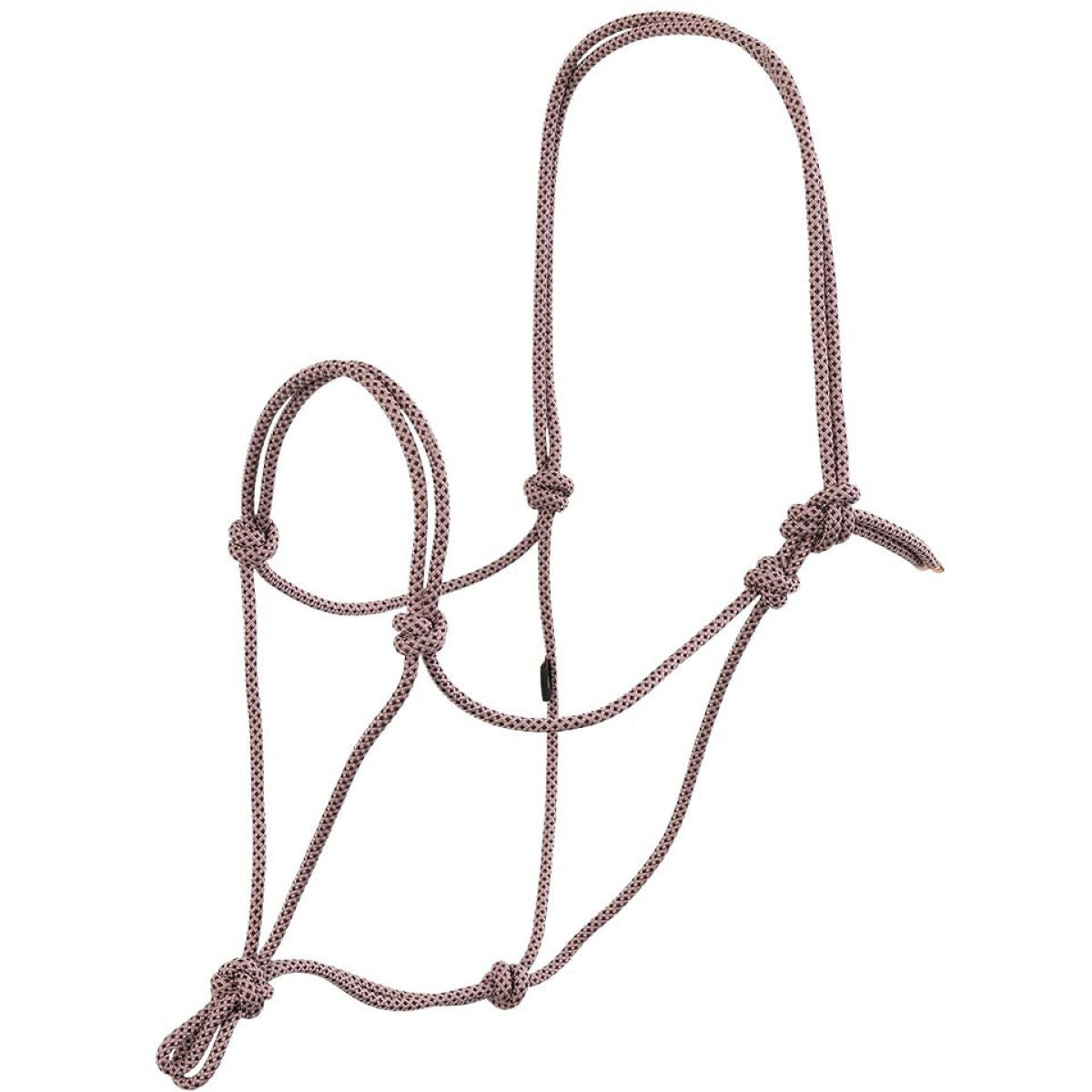 BR Capestro in Corda AW25 Judith Nirvana