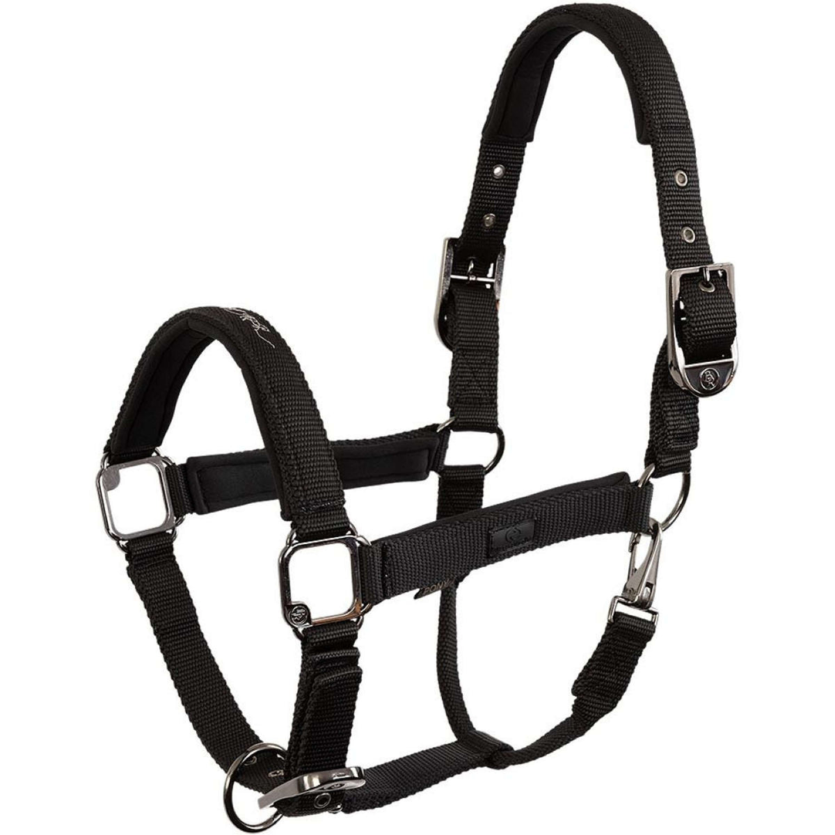 BR Capezzina AW25 Eevolv Josh Meteorite