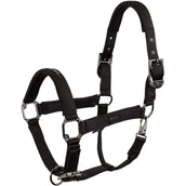 BR Capezzina AW25 Eevolv Josh Meteorite