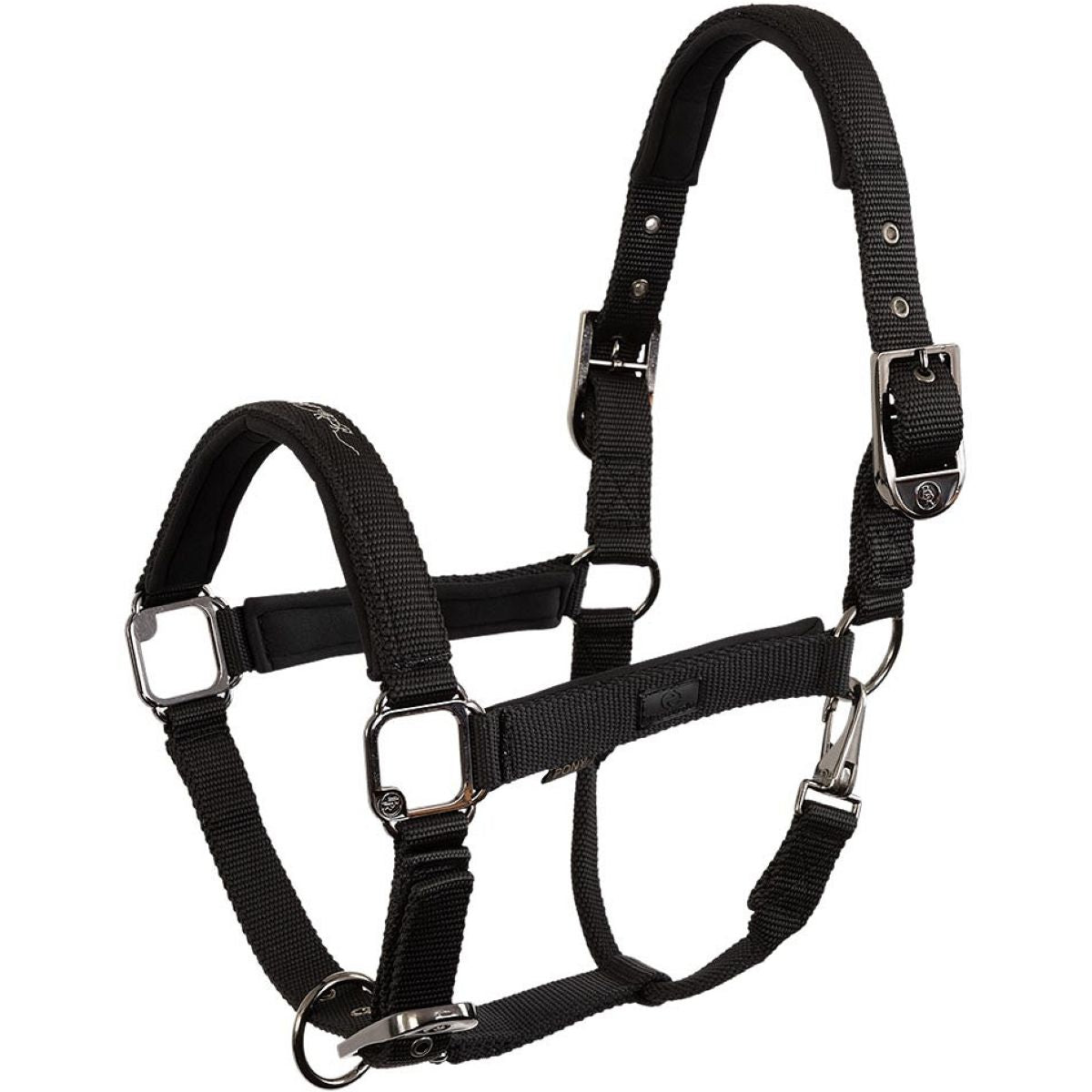 BR Capezzina AW25 Eevolv Josh Meteorite