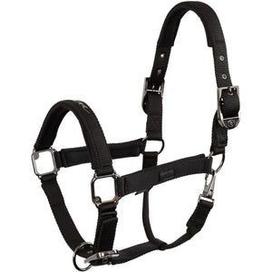 BR Capezzina AW25 Eevolv Josh Meteorite