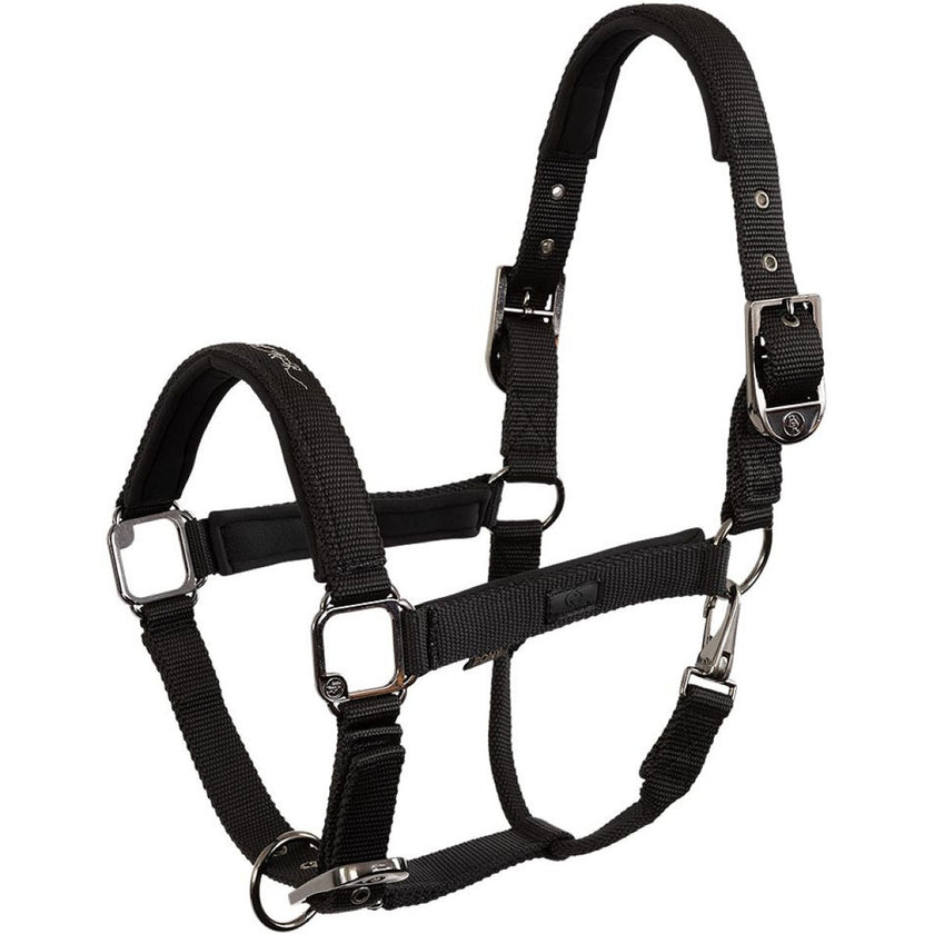 BR Capezzina AW25 Eevolv Josh Meteorite
