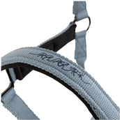 BR Capezzina AW25 Eevolv Josh Ashley Blue