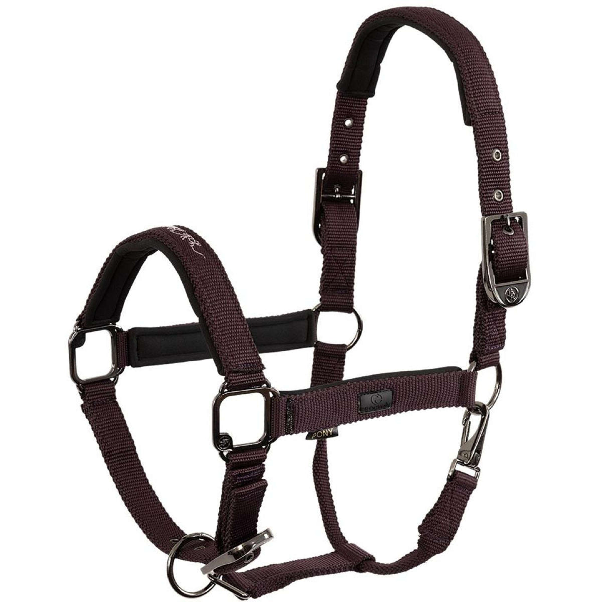 BR Capezzina AW25 Eevolv Josh Raisin