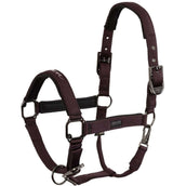 BR Capezzina AW25 Eevolv Josh Raisin
