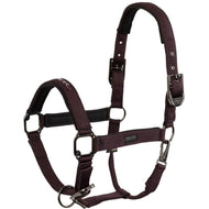 BR Capezzina AW25 Eevolv Josh Raisin
