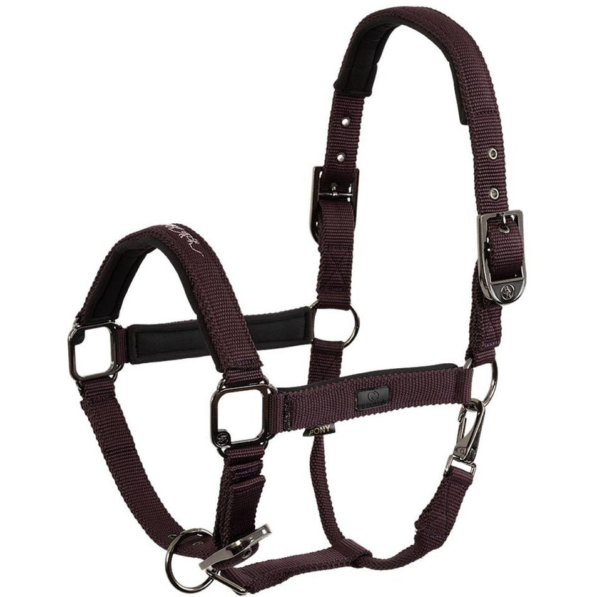 BR Capezzina AW25 Eevolv Josh Raisin