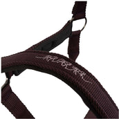 BR Capezzina AW25 Eevolv Josh Raisin