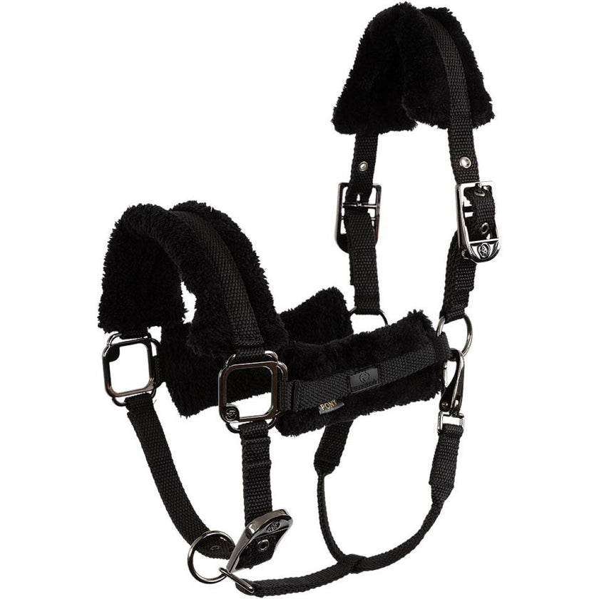 BR Capezzina AW25 Eevolv Jonne Meteorite BR Capezzina AW25 Eevolv Jonne Meteorite