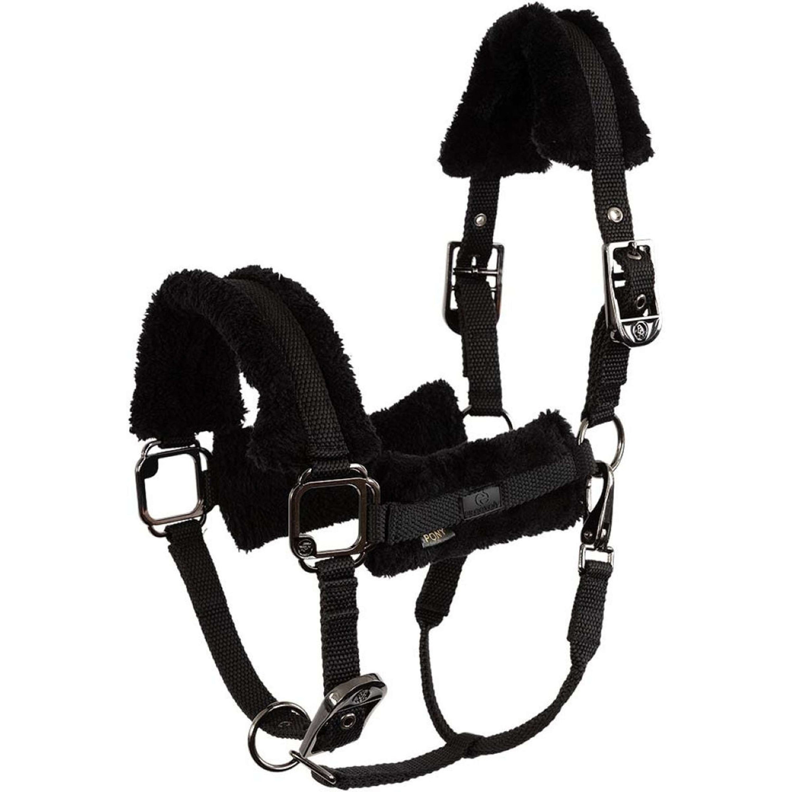 BR Capezzina AW25 Eevolv Jonne Meteorite