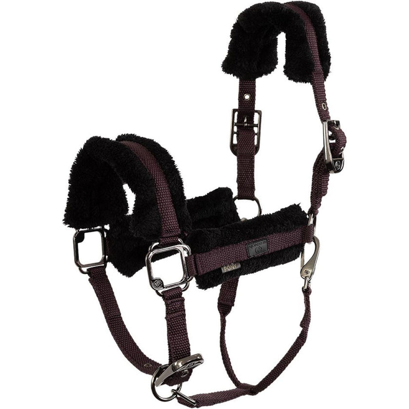 BR Capezzina AW25 Eevolv Jonne Raisin BR Capezzina AW25 Eevolv Jonne Raisin