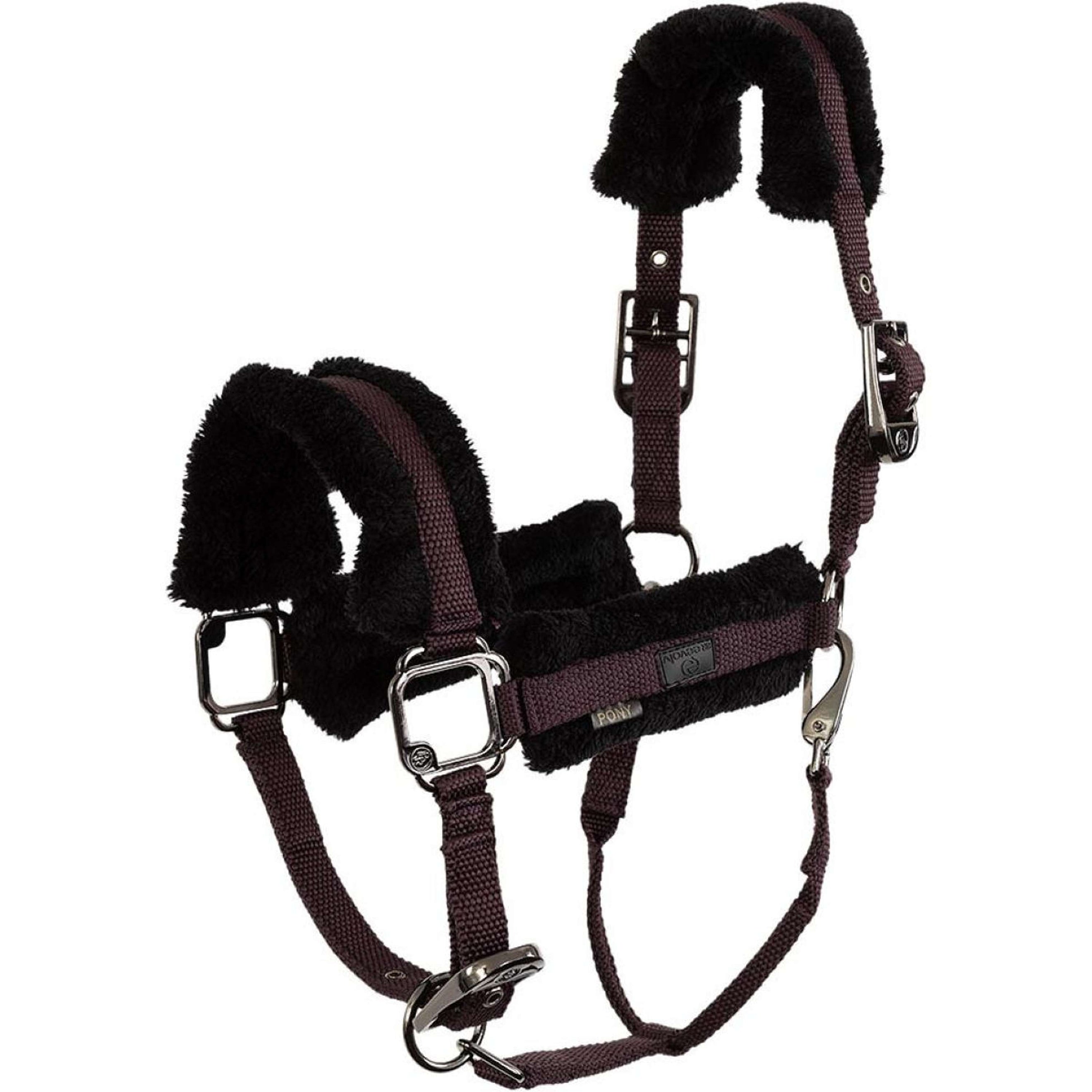 BR Capezzina AW25 Eevolv Jonne Raisin