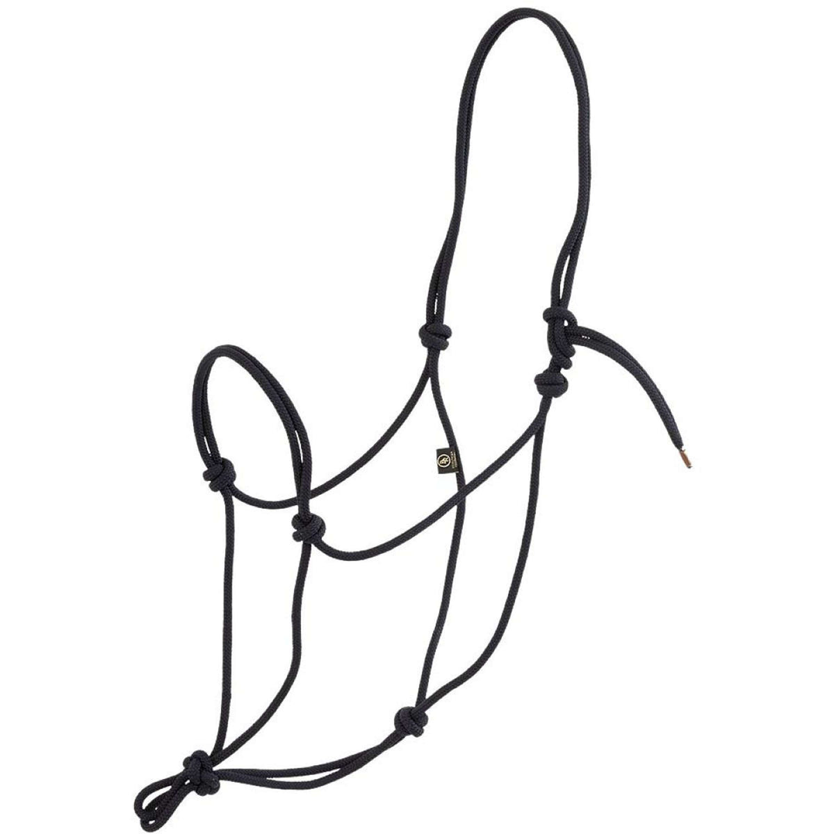 BR Capestro in Corda Carbonio