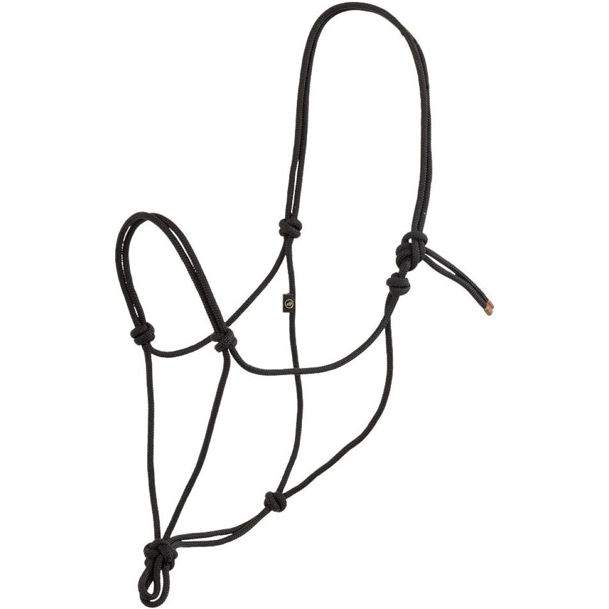 BR Capestro in Corda Meteorite